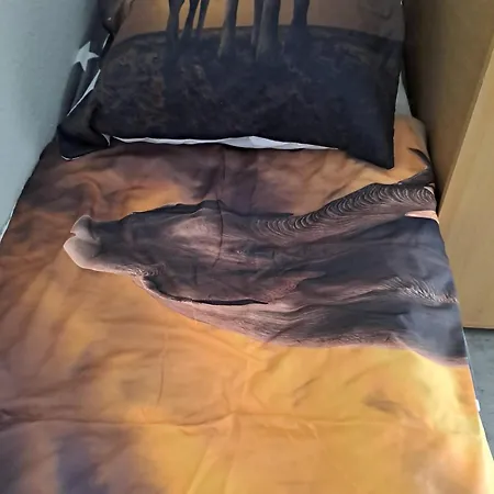 Hartmann Апартаменты Вернигероде