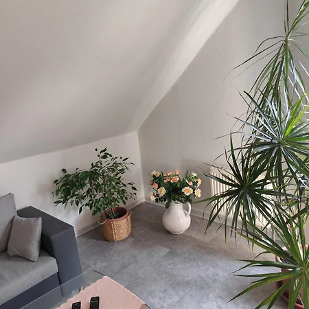 Hartmann Apartment *