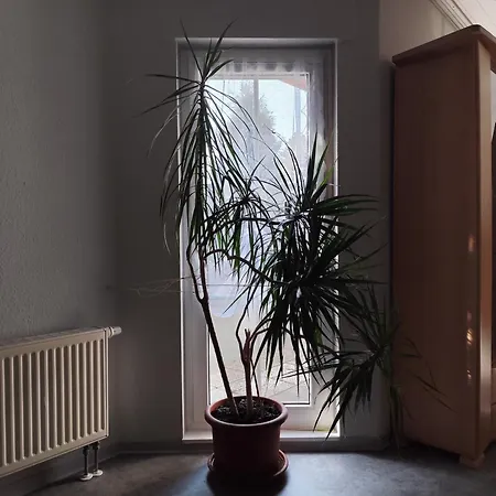 Apartment Brockenbahnblick Wernigerode