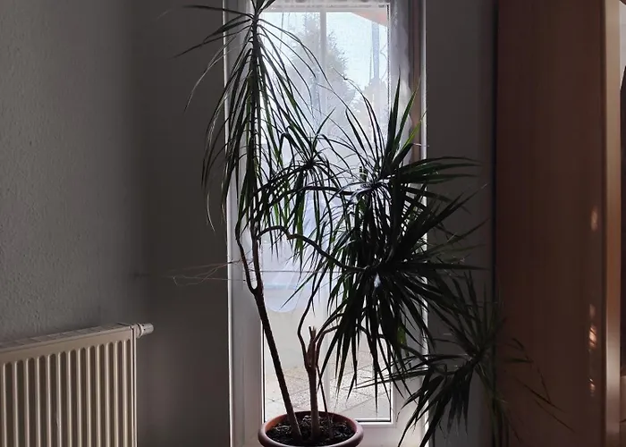 Lejlighed Hartmann Wernigerode